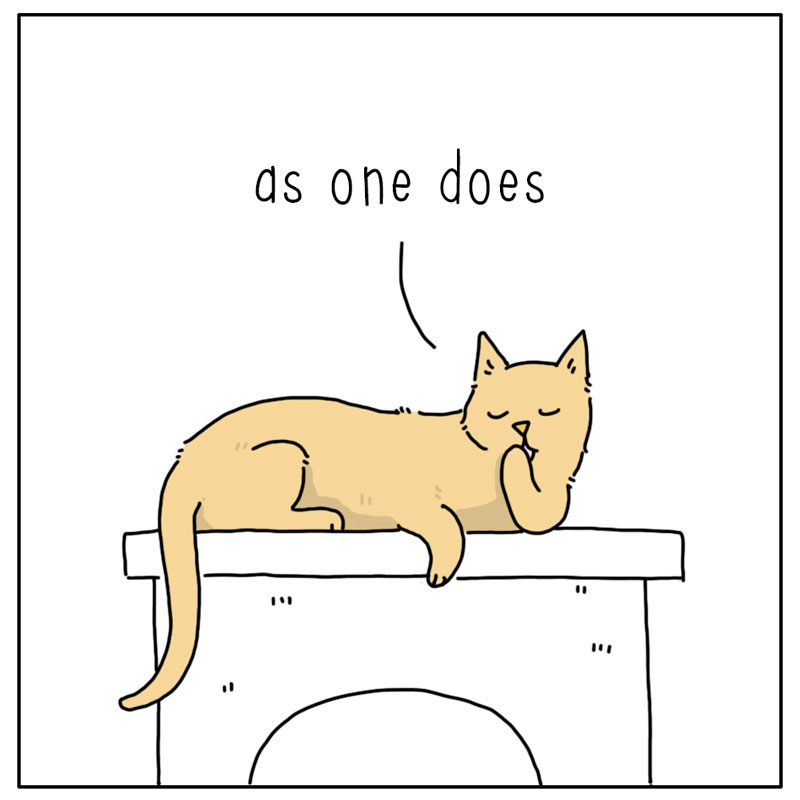 https://cdn.tinyview.com/they-can-talk/2024/02/05/audacity/cat_audacity2.jpg