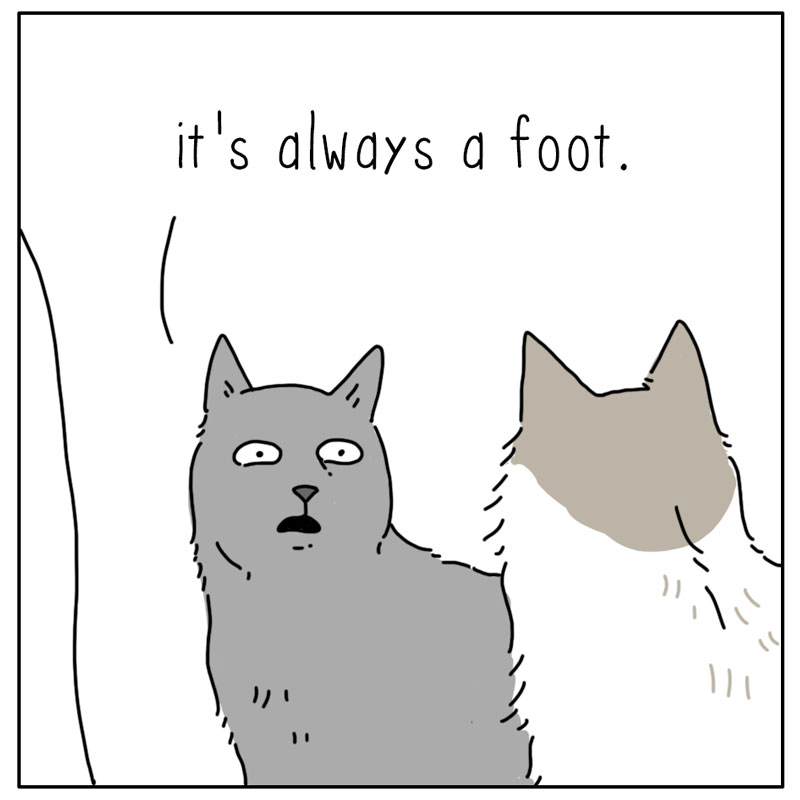 https://cdn.tinyview.com/they-can-talk/2024/02/09/foot/cat_foot3.jpg