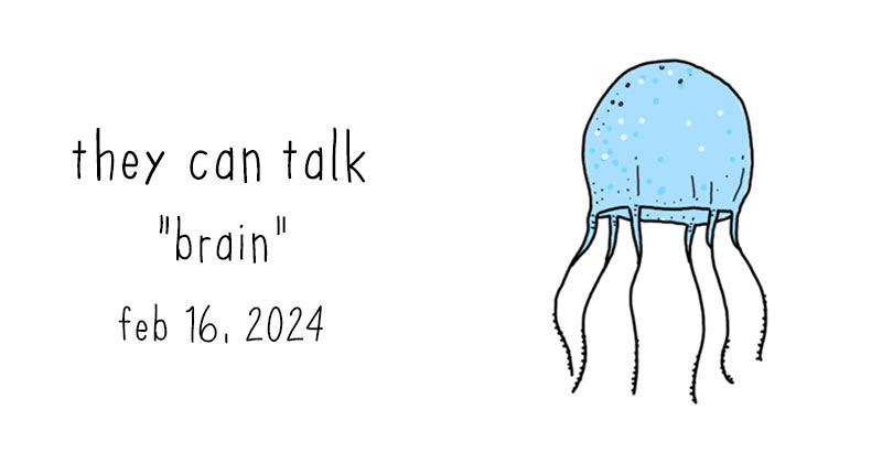 brain