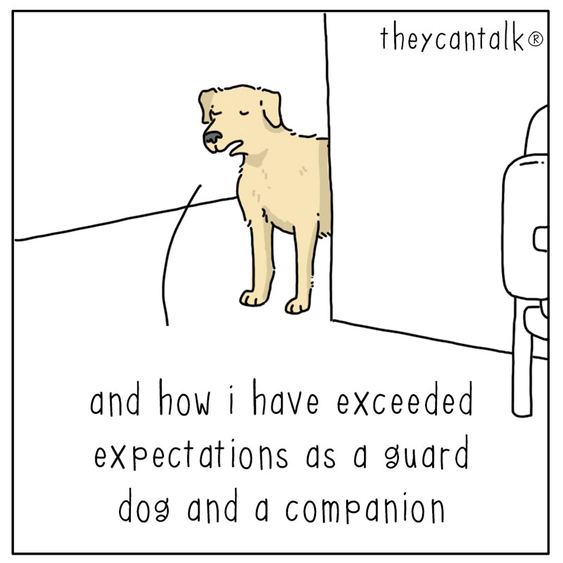 https://cdn.tinyview.com/they-can-talk/2024/02/18/promotion/dog_promotion2.jpg