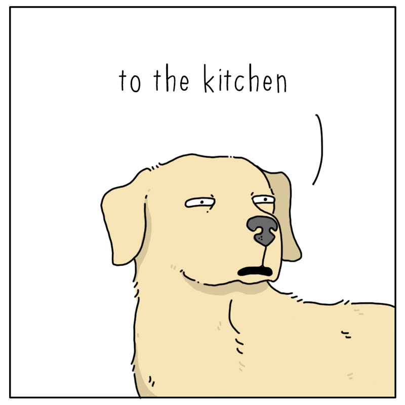 https://cdn.tinyview.com/they-can-talk/2024/02/18/promotion/dog_promotion4.jpg