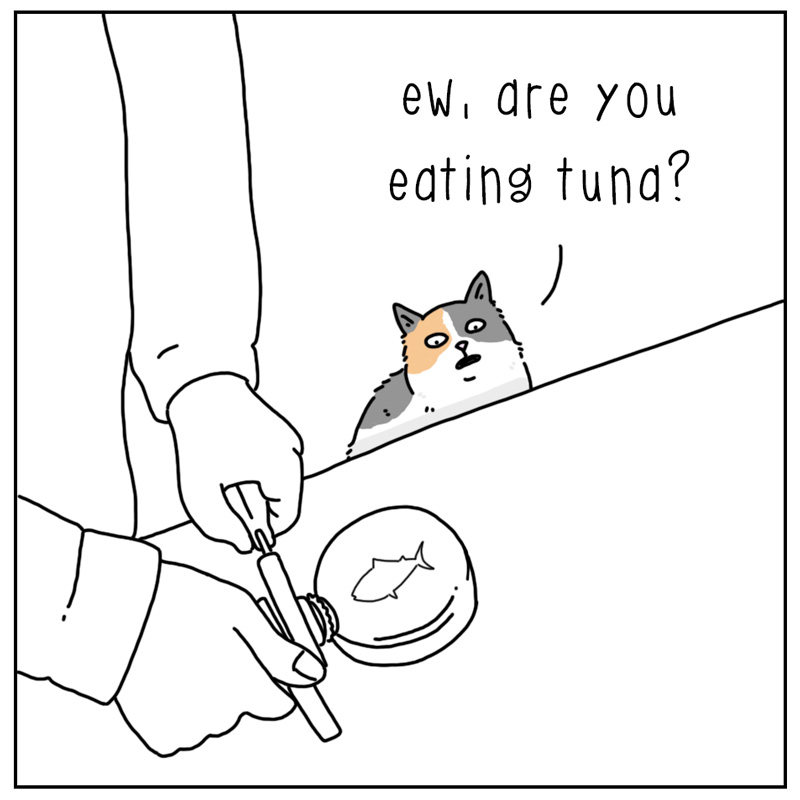 https://cdn.tinyview.com/they-can-talk/2024/02/23/tuna/cat_tuna1.jpg