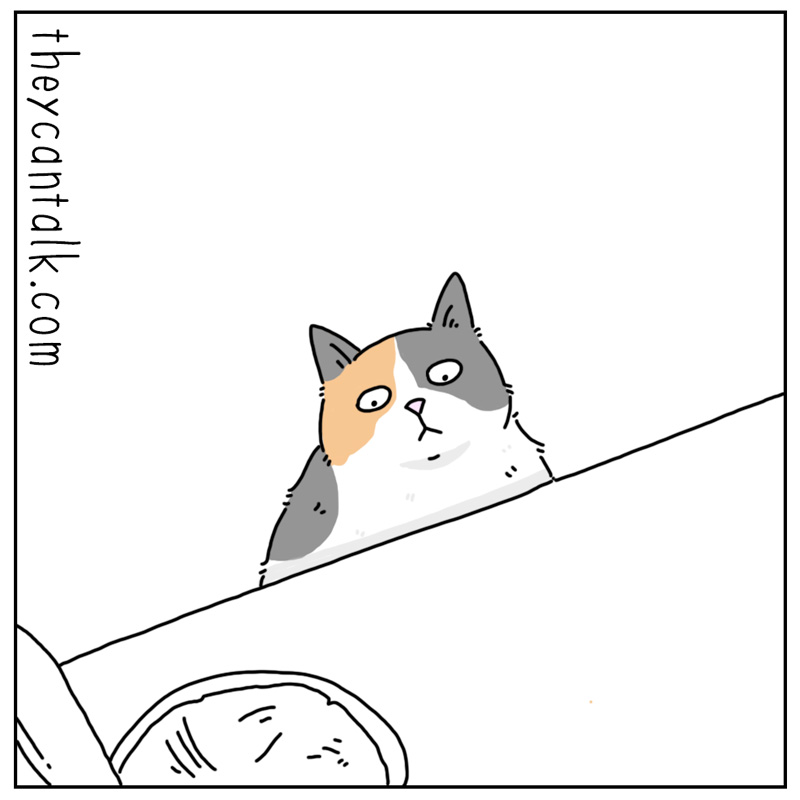 https://cdn.tinyview.com/they-can-talk/2024/02/23/tuna/cat_tuna3.jpg
