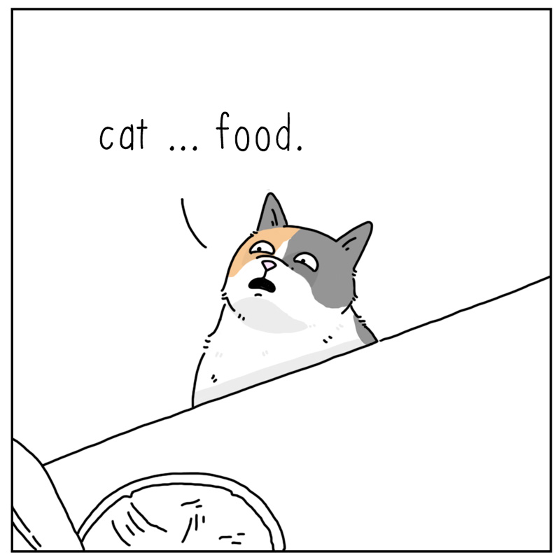 https://cdn.tinyview.com/they-can-talk/2024/02/23/tuna/cat_tuna4.jpg