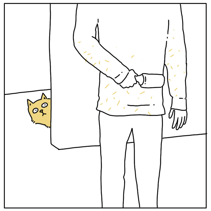 https://cdn.tinyview.com/they-can-talk/2024/03/01/lint-roller/cat_lintroller2.jpg