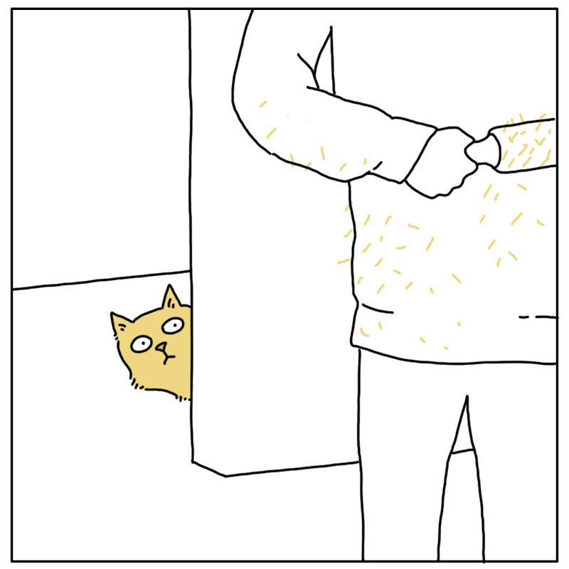 https://cdn.tinyview.com/they-can-talk/2024/03/01/lint-roller/cat_lintroller3.jpg