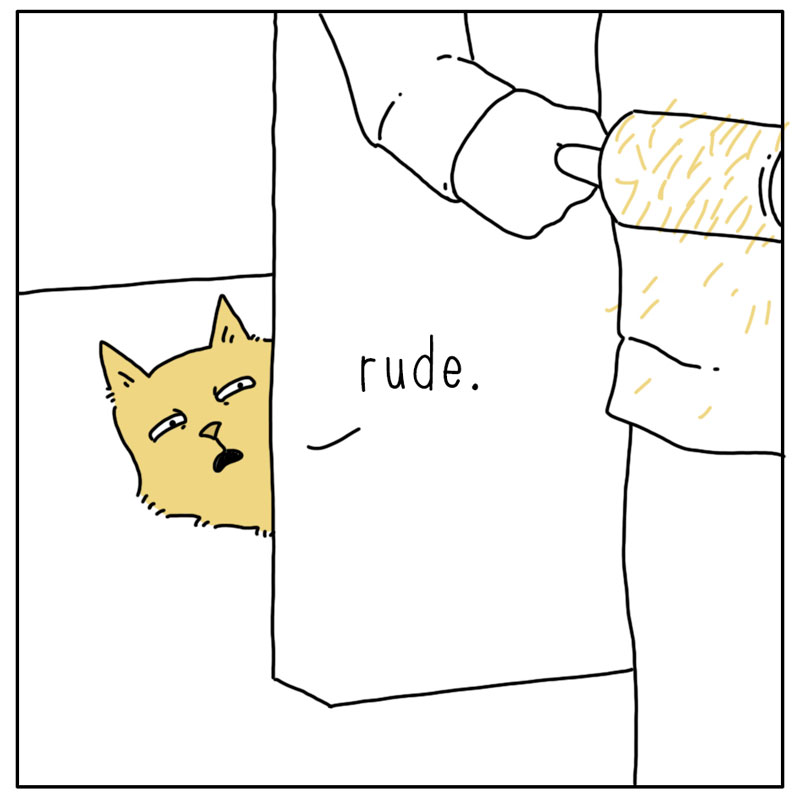 https://cdn.tinyview.com/they-can-talk/2024/03/01/lint-roller/cat_lintroller4.jpg