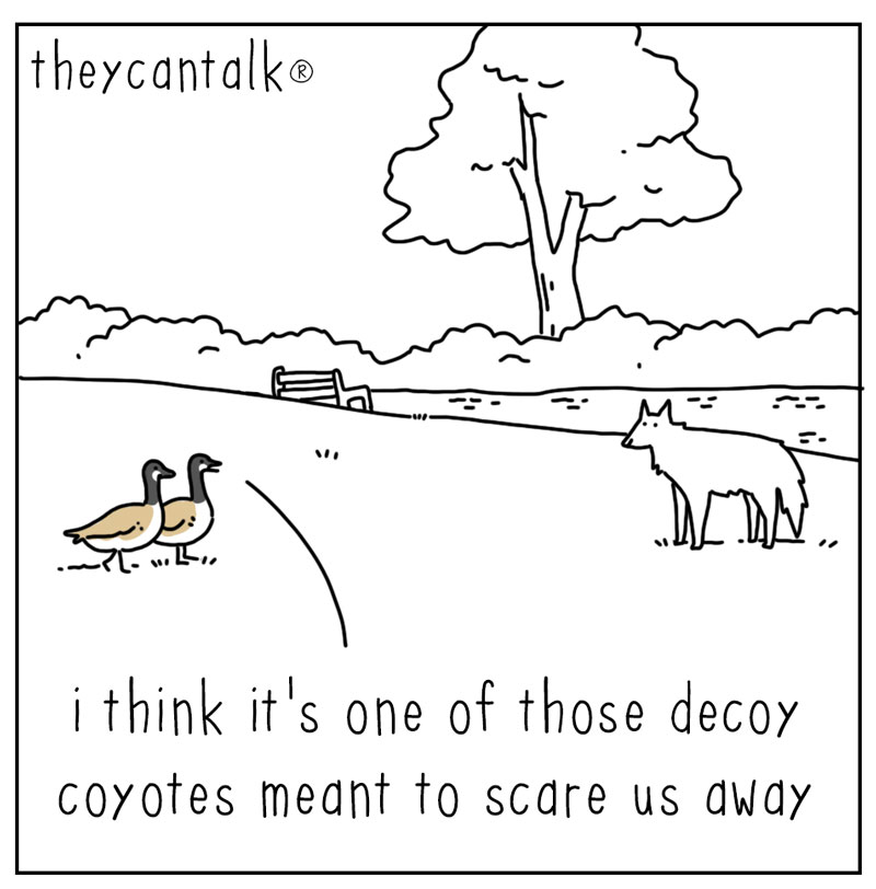 https://cdn.tinyview.com/they-can-talk/2024/03/04/decoy/goose_coyote1.jpg