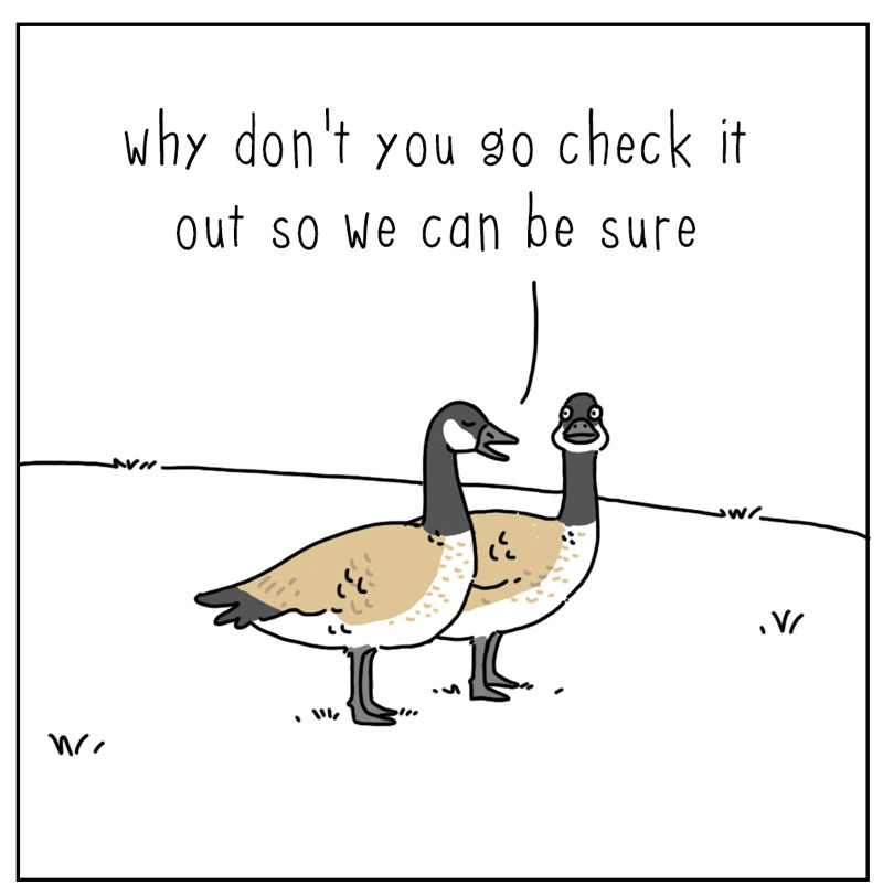 https://cdn.tinyview.com/they-can-talk/2024/03/04/decoy/goose_coyote2.jpg