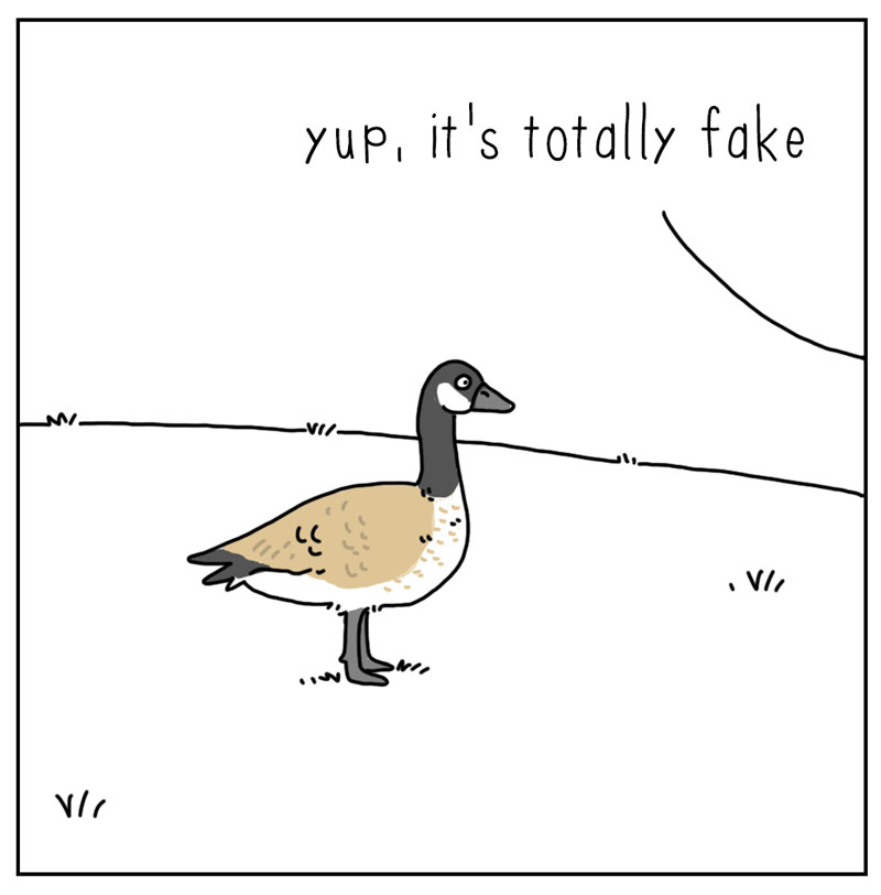 https://cdn.tinyview.com/they-can-talk/2024/03/04/decoy/goose_coyote3.jpg