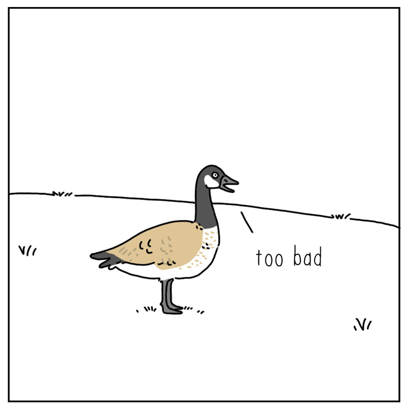 https://cdn.tinyview.com/they-can-talk/2024/03/04/decoy/goose_coyote4.jpg