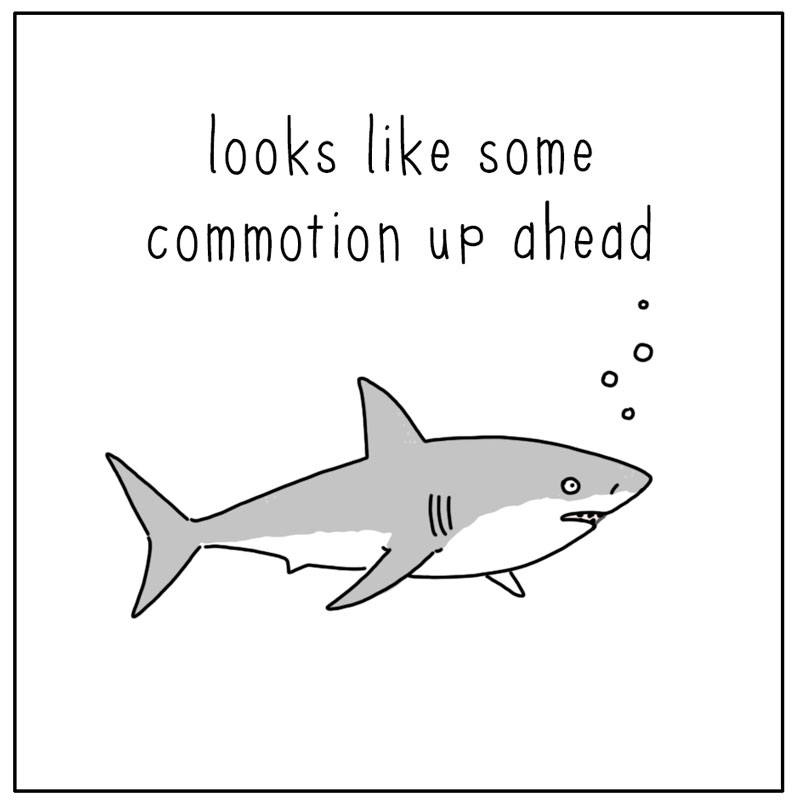 https://cdn.tinyview.com/they-can-talk/2024/03/08/investigate/shark_investigate_1.jpg
