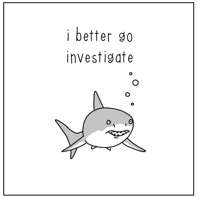 https://cdn.tinyview.com/they-can-talk/2024/03/08/investigate/shark_investigate_2.jpg