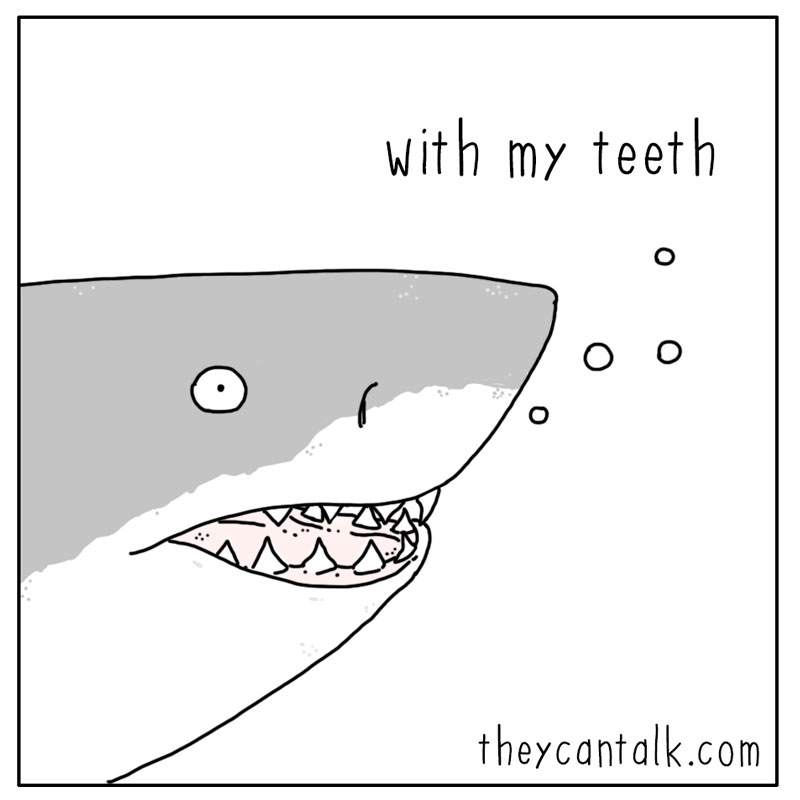 https://cdn.tinyview.com/they-can-talk/2024/03/08/investigate/shark_investigate_3.jpg