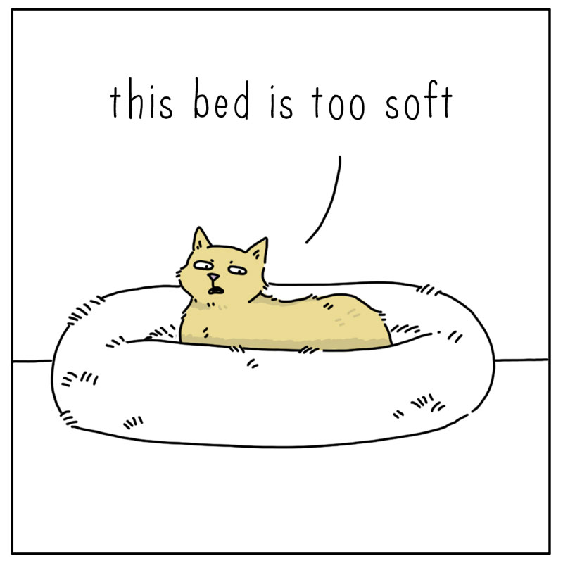 https://cdn.tinyview.com/they-can-talk/2024/03/11/goldilocks/cat_bed2.jpg