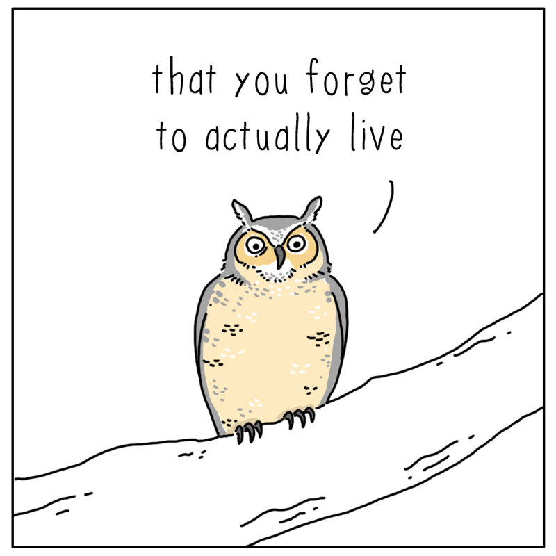 https://cdn.tinyview.com/they-can-talk/2024/03/15/live/owl_propoganda2.jpg