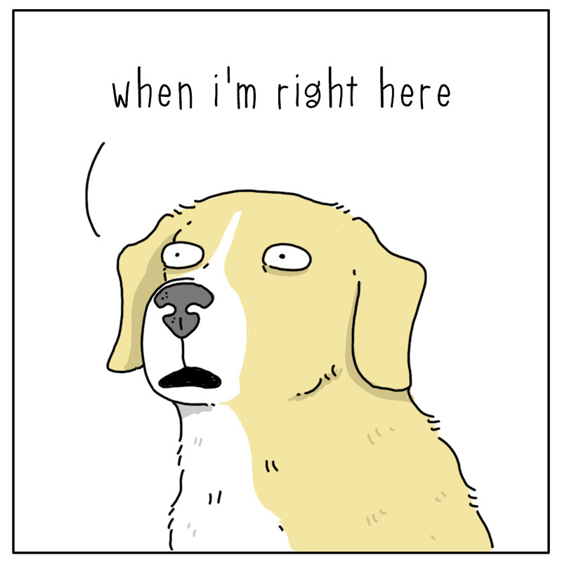 https://cdn.tinyview.com/they-can-talk/2024/03/18/scraps/dog_scraps2.jpg