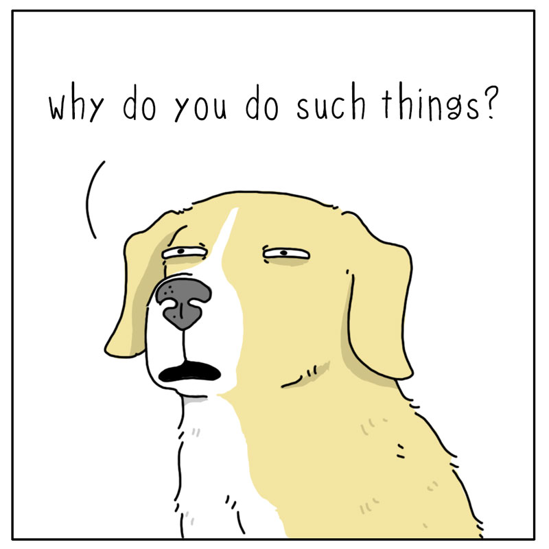 https://cdn.tinyview.com/they-can-talk/2024/03/18/scraps/dog_scraps4.jpg
