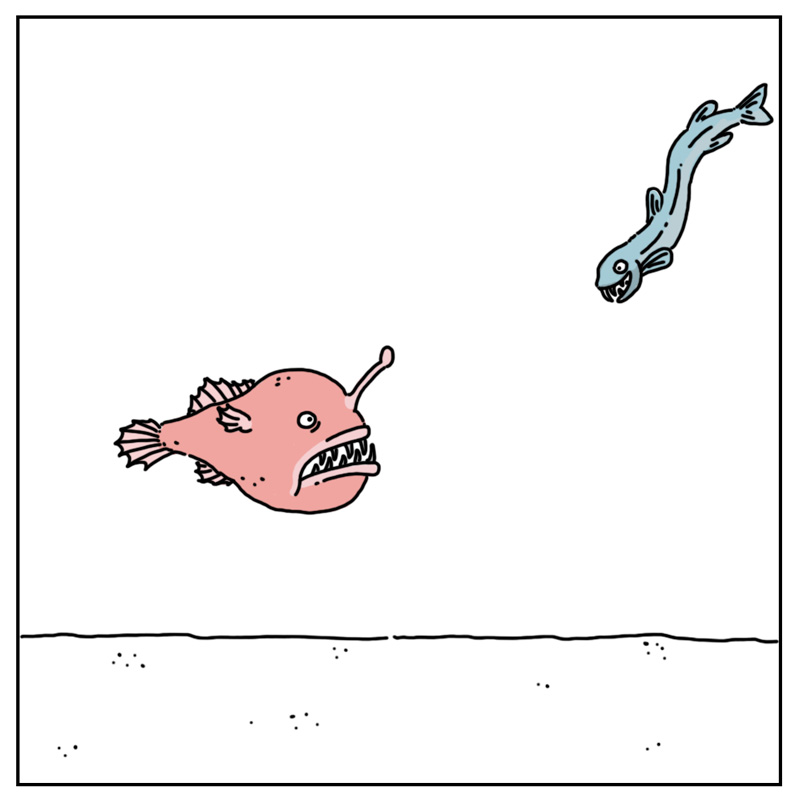 https://cdn.tinyview.com/they-can-talk/2024/03/22/lonely/anglerfish_lonely2.jpg