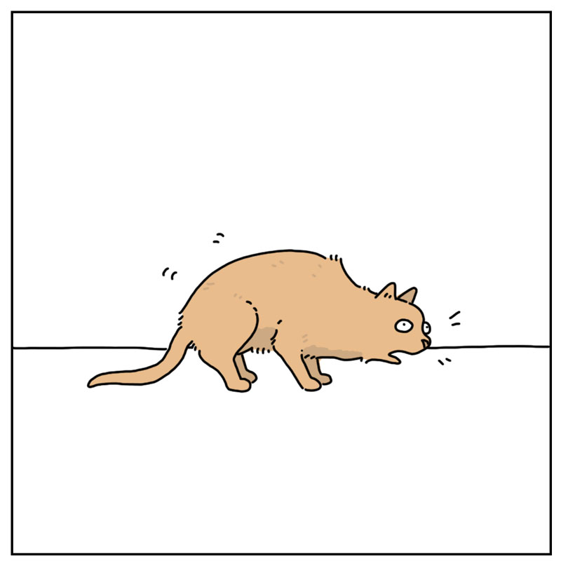 https://cdn.tinyview.com/they-can-talk/2024/03/25/dancing/cat_dancing2.jpg