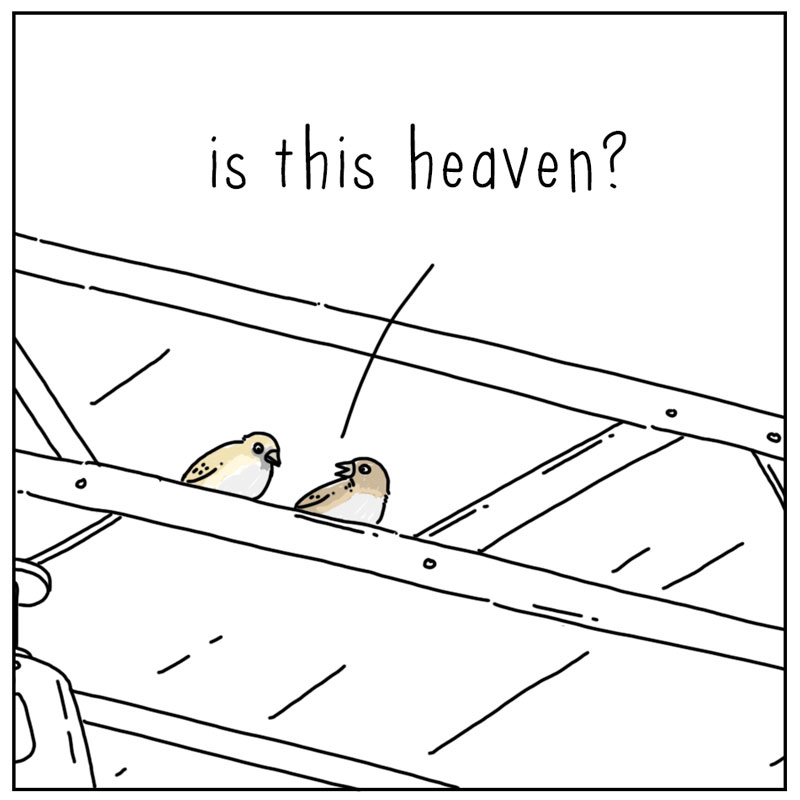 https://cdn.tinyview.com/they-can-talk/2024/03/29/heaven/bird_heaven1.jpg