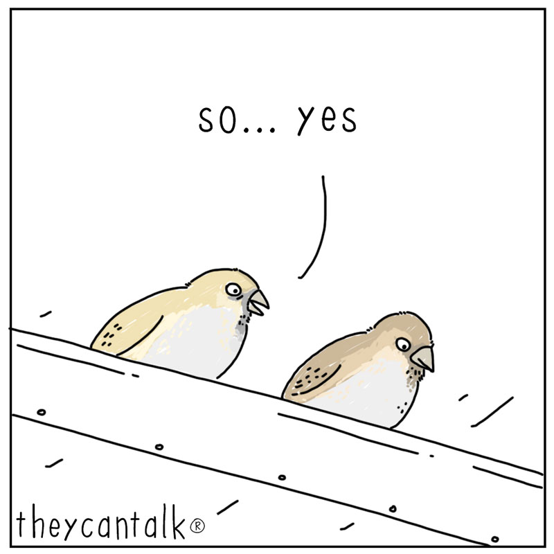 https://cdn.tinyview.com/they-can-talk/2024/03/29/heaven/bird_heaven3.jpg