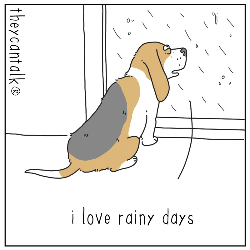 https://cdn.tinyview.com/they-can-talk/2024/04/01/rainy-days/dog_rainyday1.jpg
