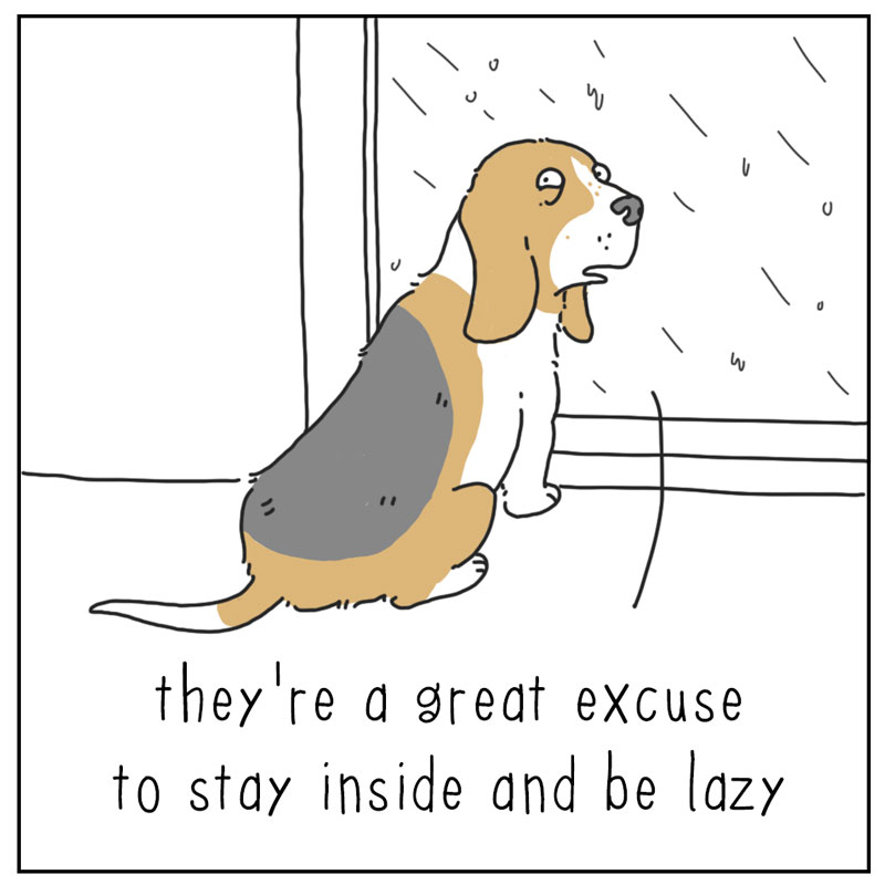 https://cdn.tinyview.com/they-can-talk/2024/04/01/rainy-days/dog_rainyday2.jpg