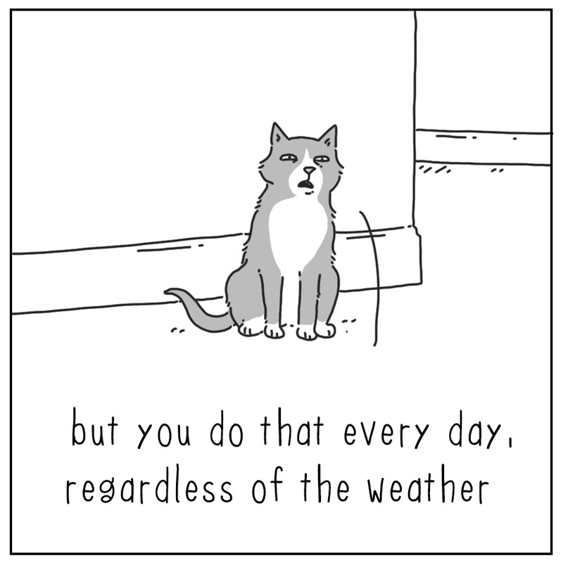 https://cdn.tinyview.com/they-can-talk/2024/04/01/rainy-days/dog_rainyday3.jpg
