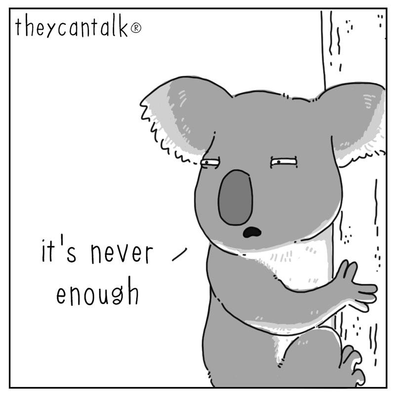 https://cdn.tinyview.com/they-can-talk/2024/04/08/sleep/koala_sleep4.jpg