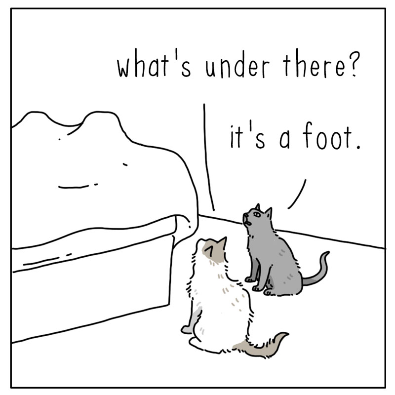 https://cdn.tinyview.com/they-can-talk/2024/04/12/foot/cat_foot1.jpg