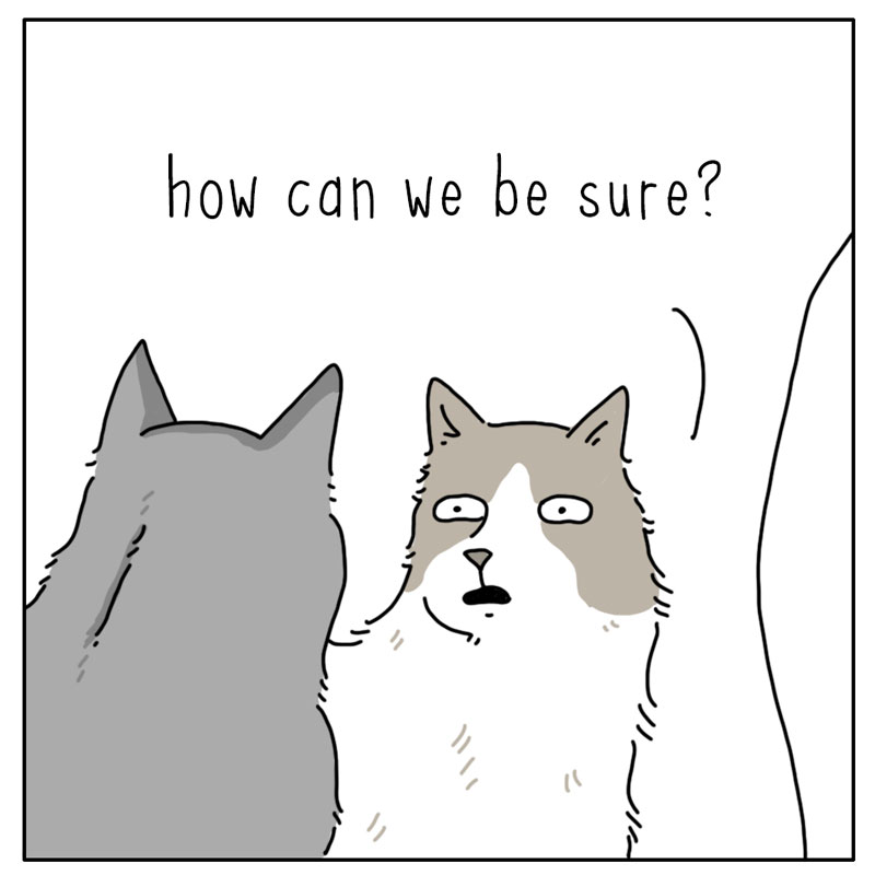 https://cdn.tinyview.com/they-can-talk/2024/04/12/foot/cat_foot2.jpg