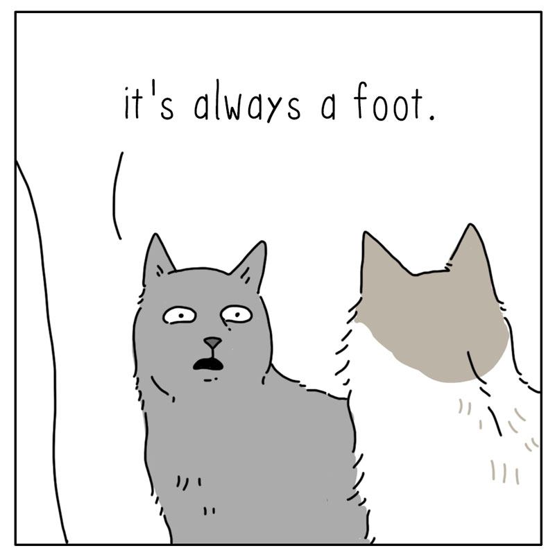 https://cdn.tinyview.com/they-can-talk/2024/04/12/foot/cat_foot3.jpg