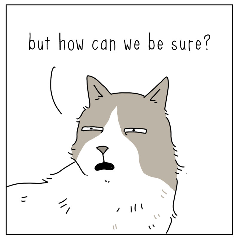 https://cdn.tinyview.com/they-can-talk/2024/04/12/foot/cat_foot4.jpg