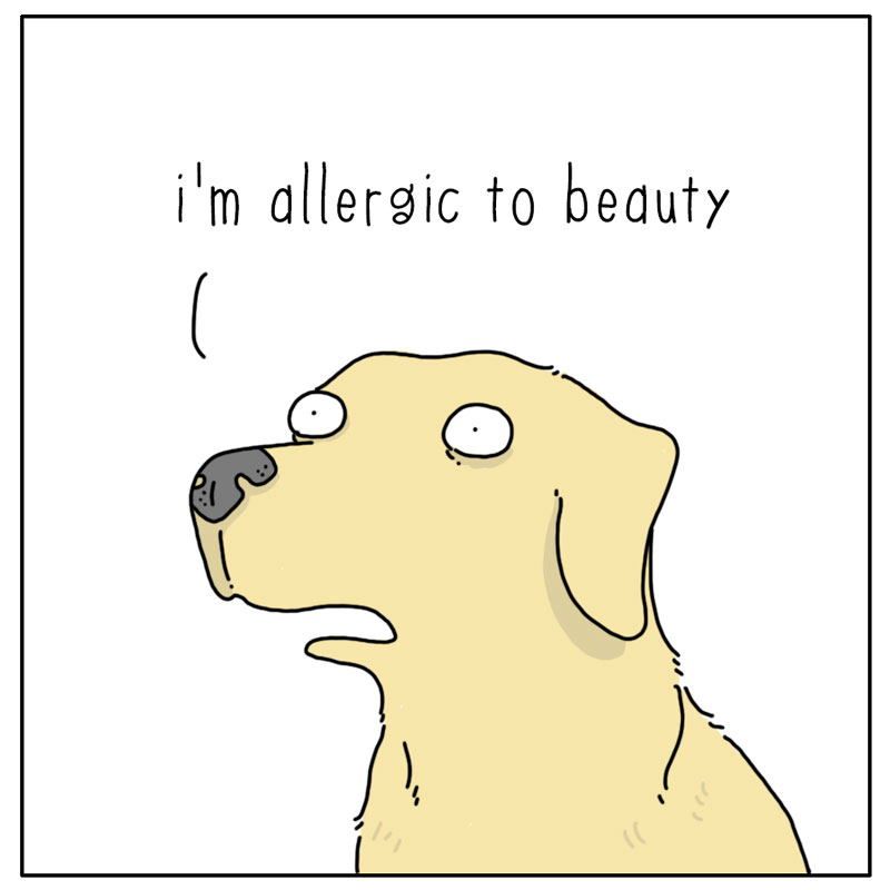 https://cdn.tinyview.com/they-can-talk/2024/04/15/allergic/dog_allergic4.jpg