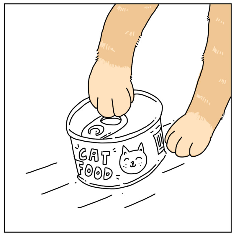 https://cdn.tinyview.com/they-can-talk/2024/04/19/assistance/cat_favor1.jpg