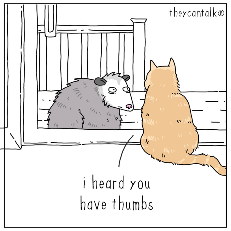 https://cdn.tinyview.com/they-can-talk/2024/04/19/assistance/cat_favor3.jpg