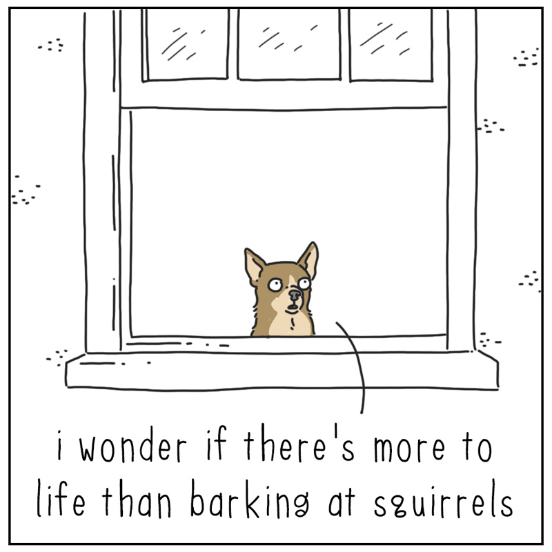 https://cdn.tinyview.com/they-can-talk/2024/04/22/barking/dog_barking1.jpg