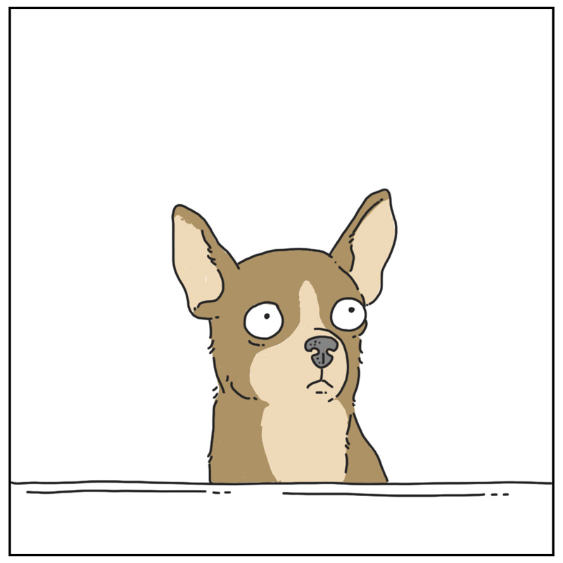 https://cdn.tinyview.com/they-can-talk/2024/04/22/barking/dog_barking2.jpg