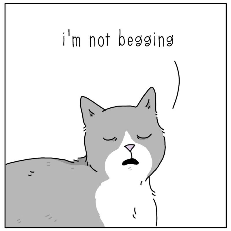 https://cdn.tinyview.com/they-can-talk/2024/04/26/begging/cat_begging2.jpg