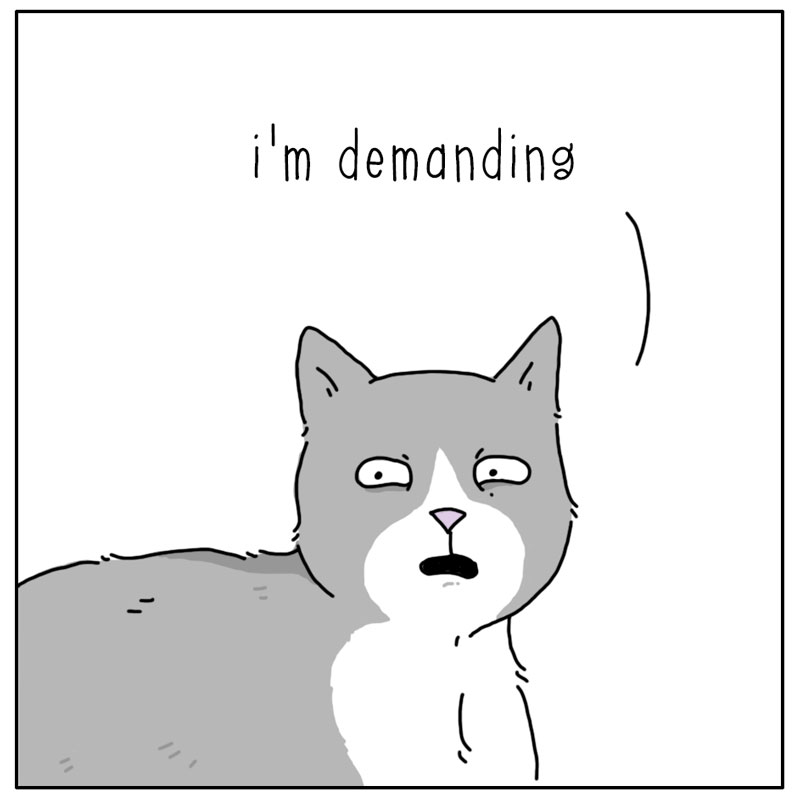 https://cdn.tinyview.com/they-can-talk/2024/04/26/begging/cat_begging3.jpg