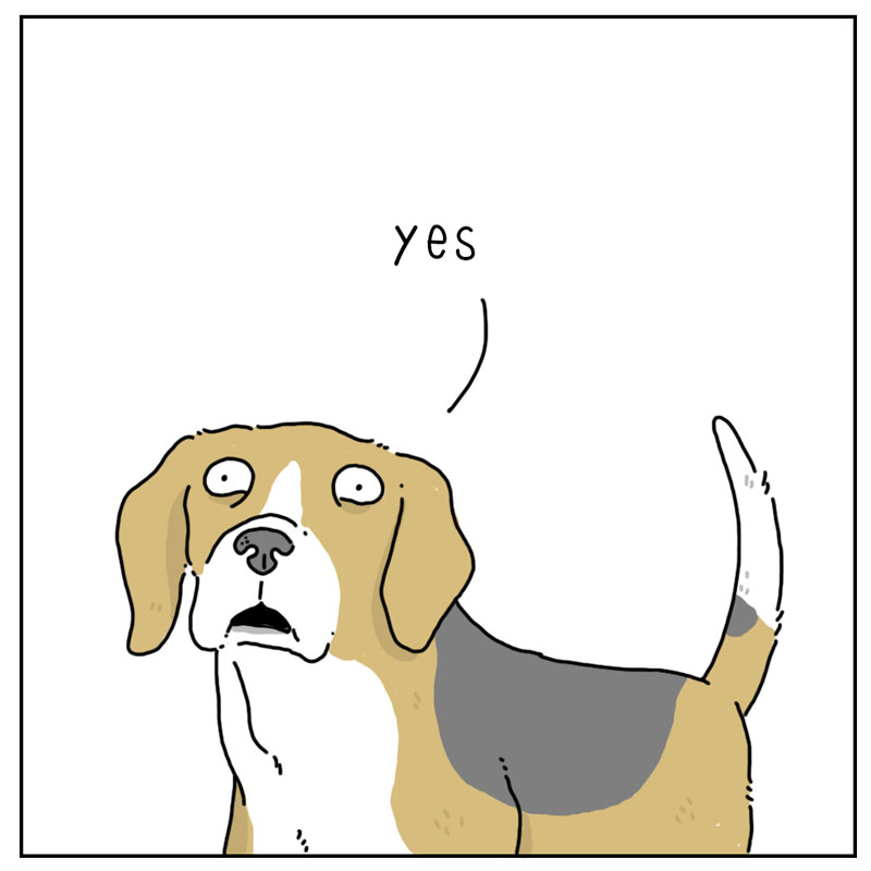 https://cdn.tinyview.com/they-can-talk/2024/04/28/scratches/dog_scratches_2.jpg