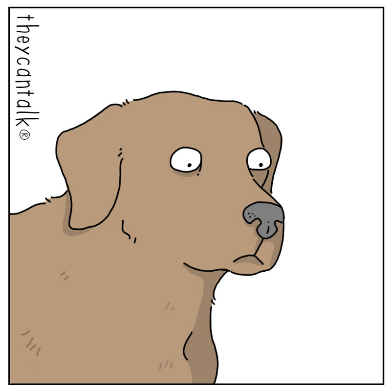 https://cdn.tinyview.com/they-can-talk/2024/04/28/scratches/dog_scratches_3.jpg