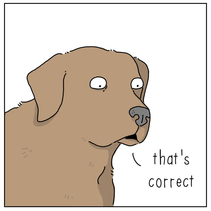 https://cdn.tinyview.com/they-can-talk/2024/04/28/scratches/dog_scratches_4.jpg
