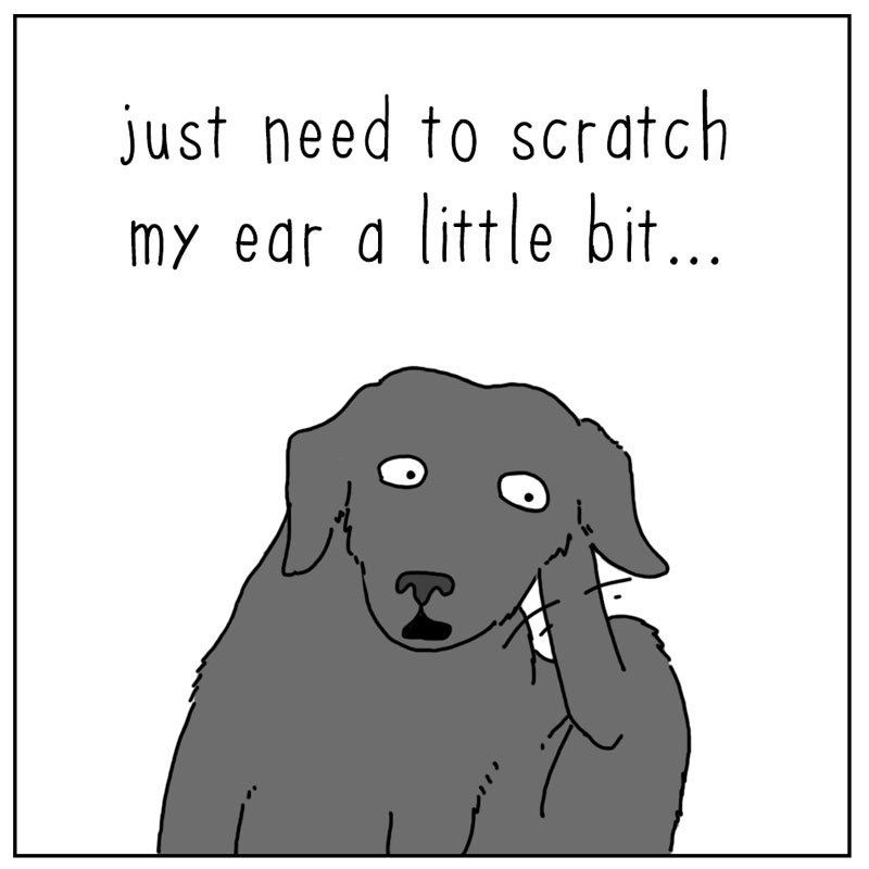 https://cdn.tinyview.com/they-can-talk/2024/05/03/itchy/dog_scratch1.jpg