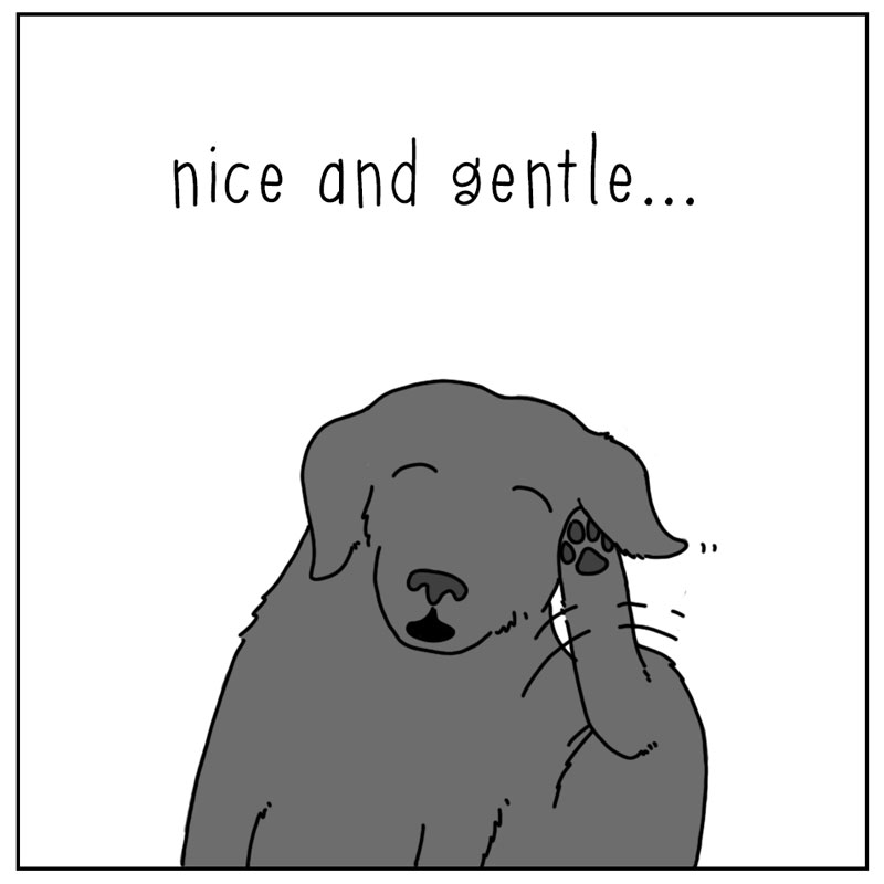 https://cdn.tinyview.com/they-can-talk/2024/05/03/itchy/dog_scratch2.jpg