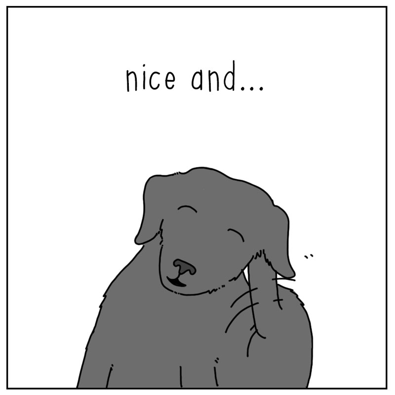 https://cdn.tinyview.com/they-can-talk/2024/05/03/itchy/dog_scratch3.jpg