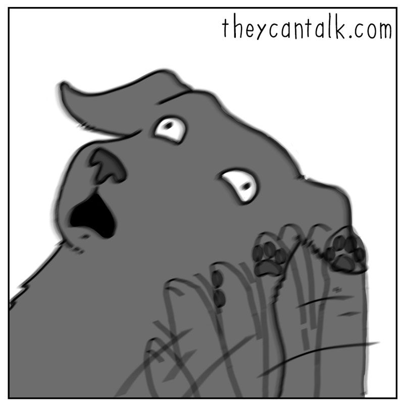 https://cdn.tinyview.com/they-can-talk/2024/05/03/itchy/dog_scratch4.jpg