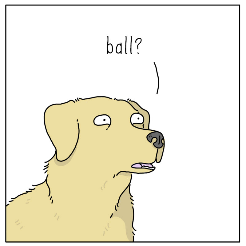 https://cdn.tinyview.com/they-can-talk/2024/05/06/ballpark/dog_ballpark2.jpg