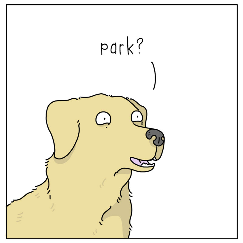 https://cdn.tinyview.com/they-can-talk/2024/05/06/ballpark/dog_ballpark3.jpg